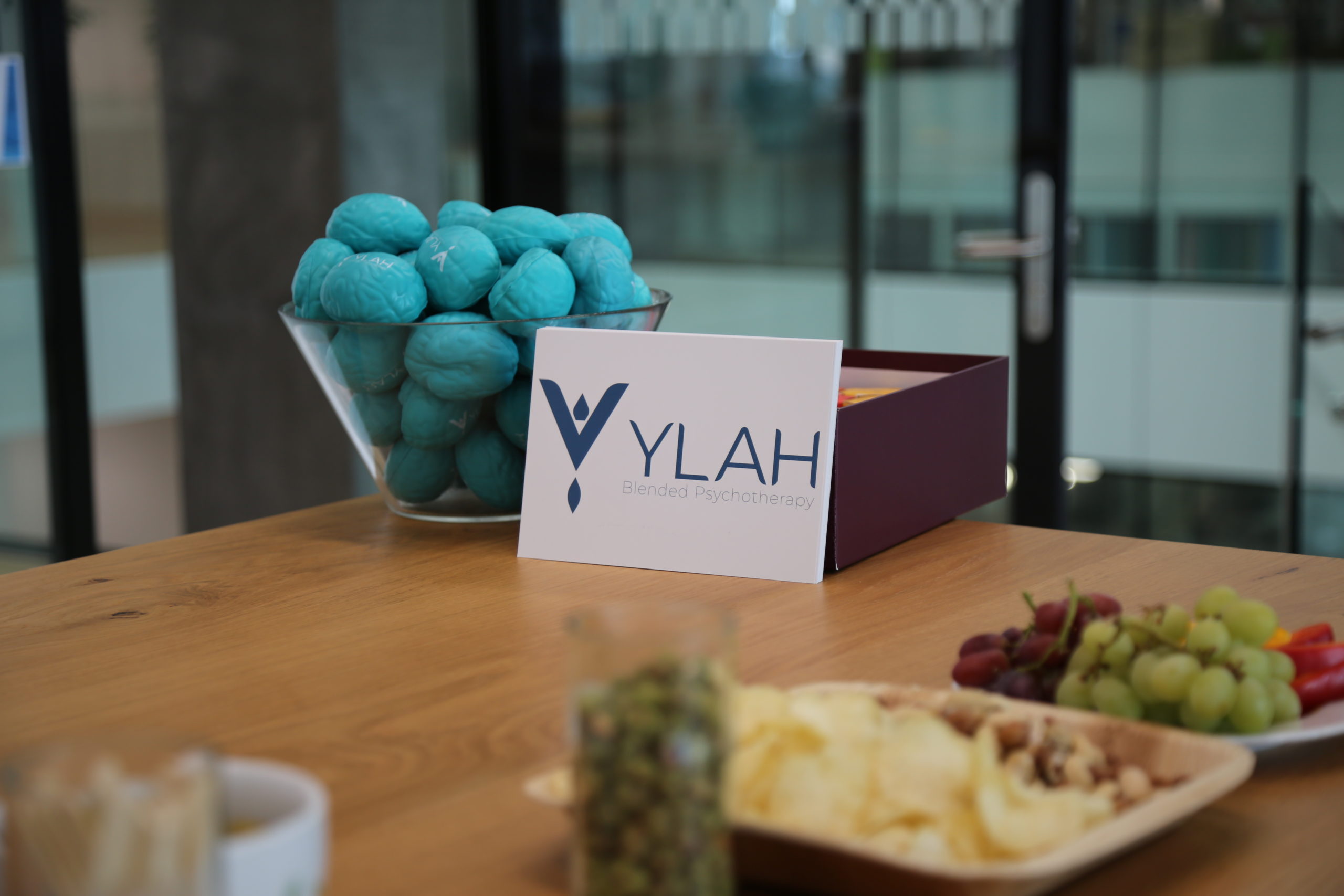 YLAH lanciert erste Version von Therapie-App. Bild: ylah.ch